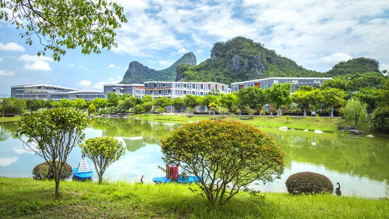 快恢复二极管型号解析：揭秘其性能与价格背后的秘密
