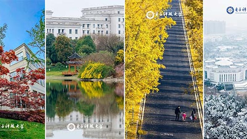 电子配件事务流程分类解析与场景应用